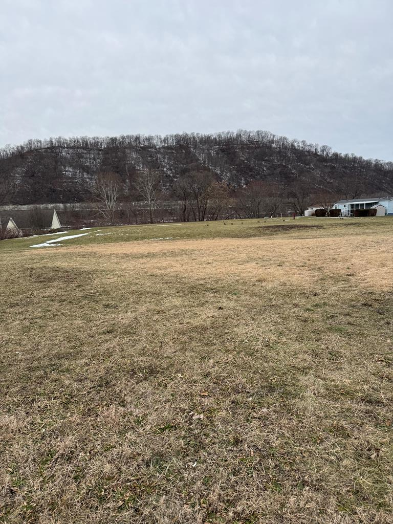 Listing Photo 138734