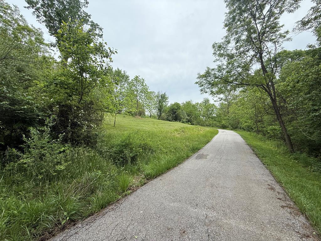 Listing Photo 139229