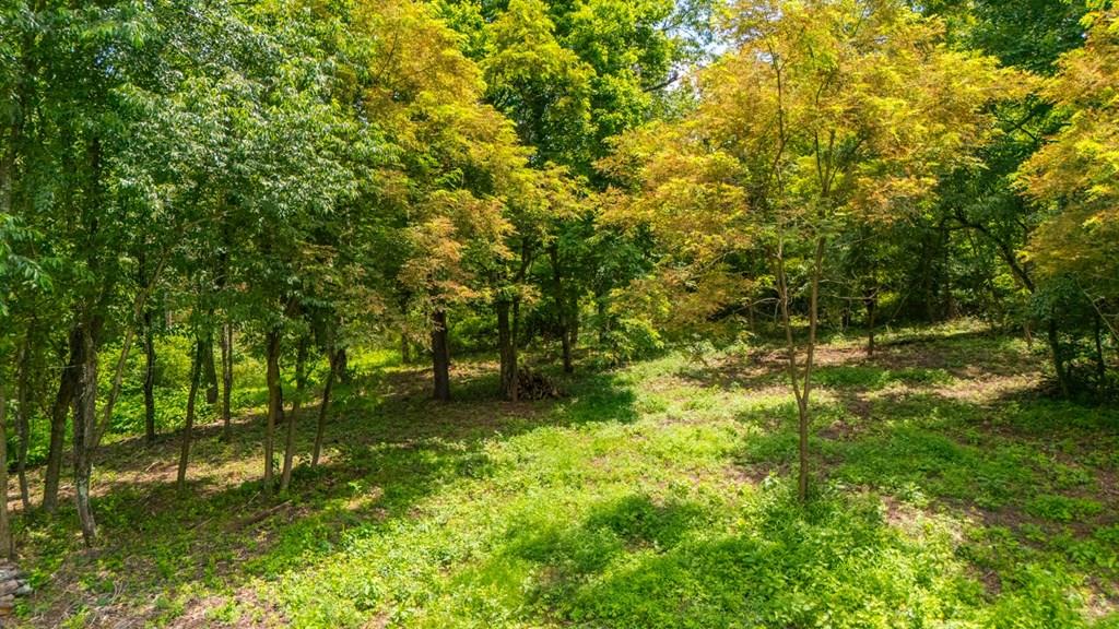 Listing Photo 139418