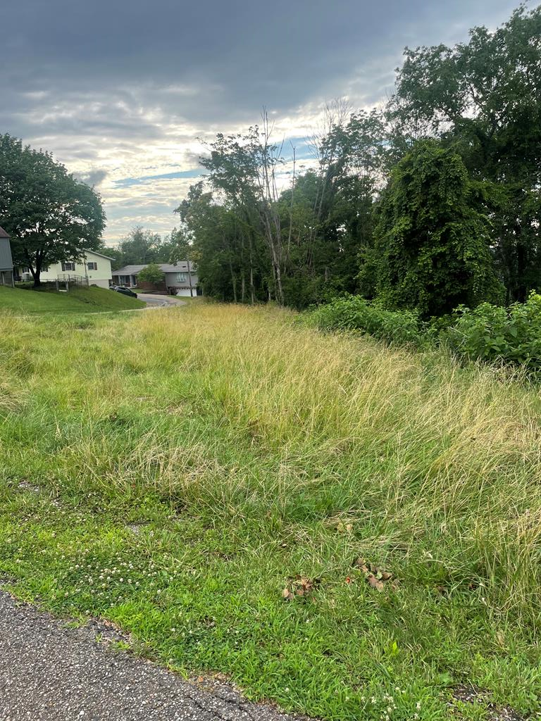 Listing Photo 139503